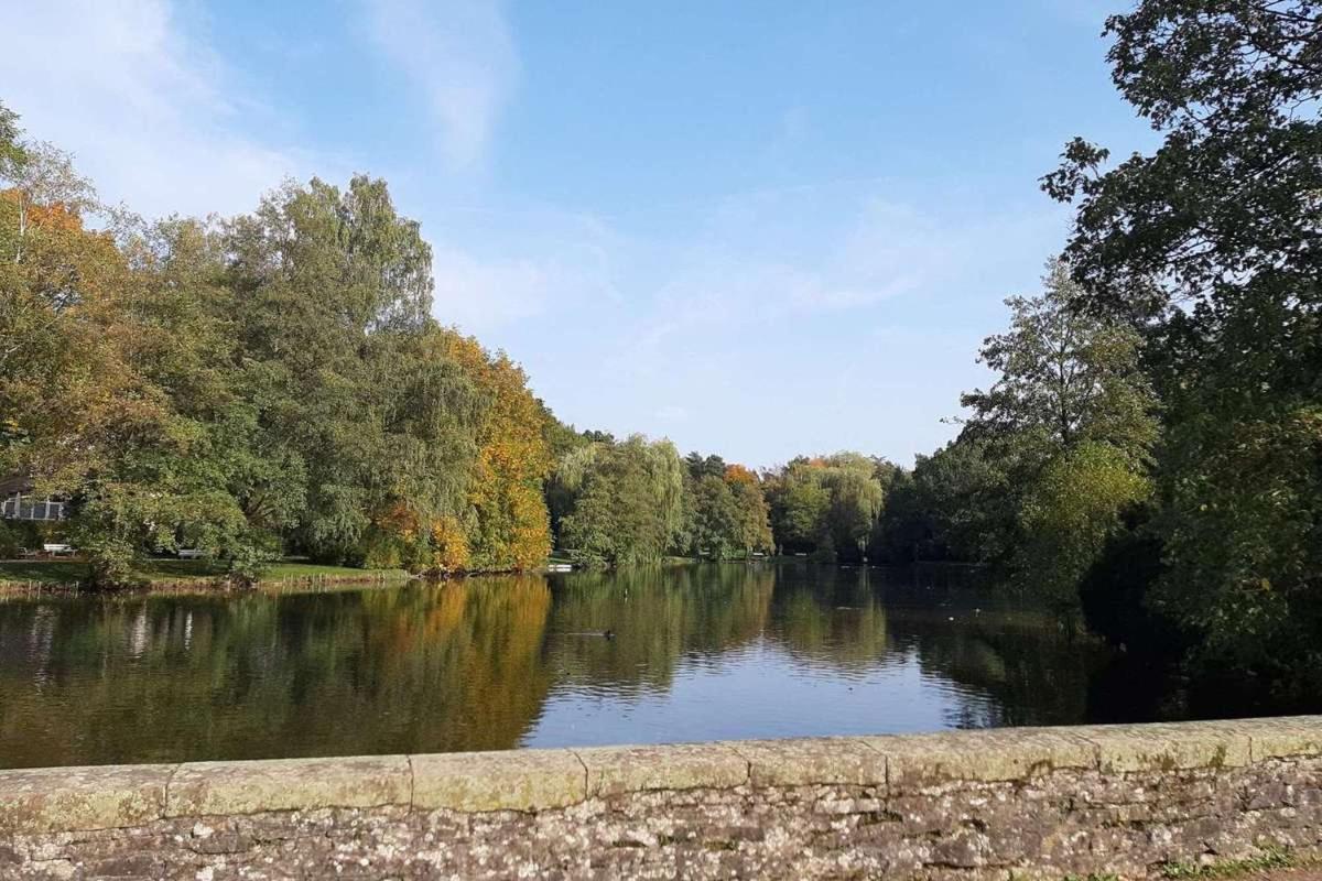 Gaestehaus Kehne Horn-Bad Meinberg Exteriör bild